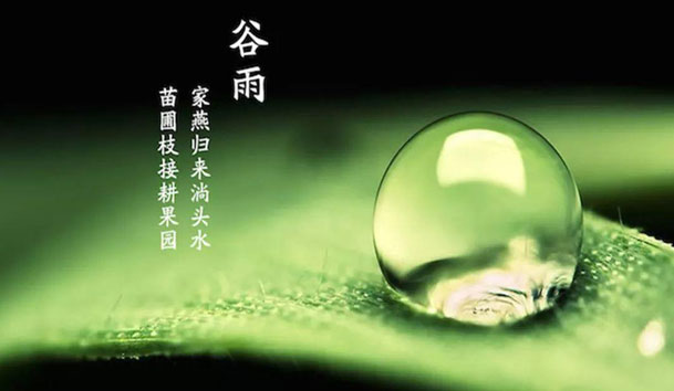 今日谷雨 | 谷得雨而生，夏天要醒了！(圖1)
